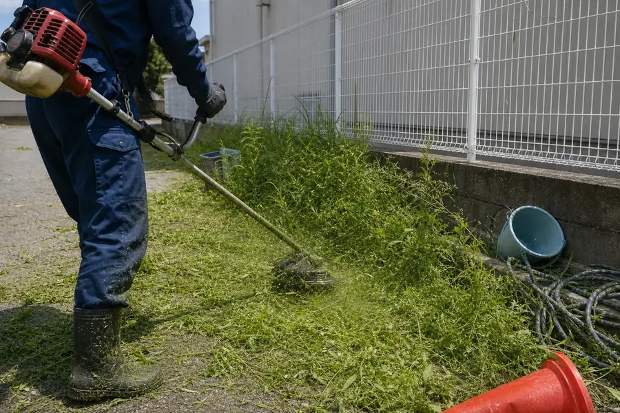 敷地の雑草を刈り取っている様子